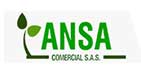 ansa